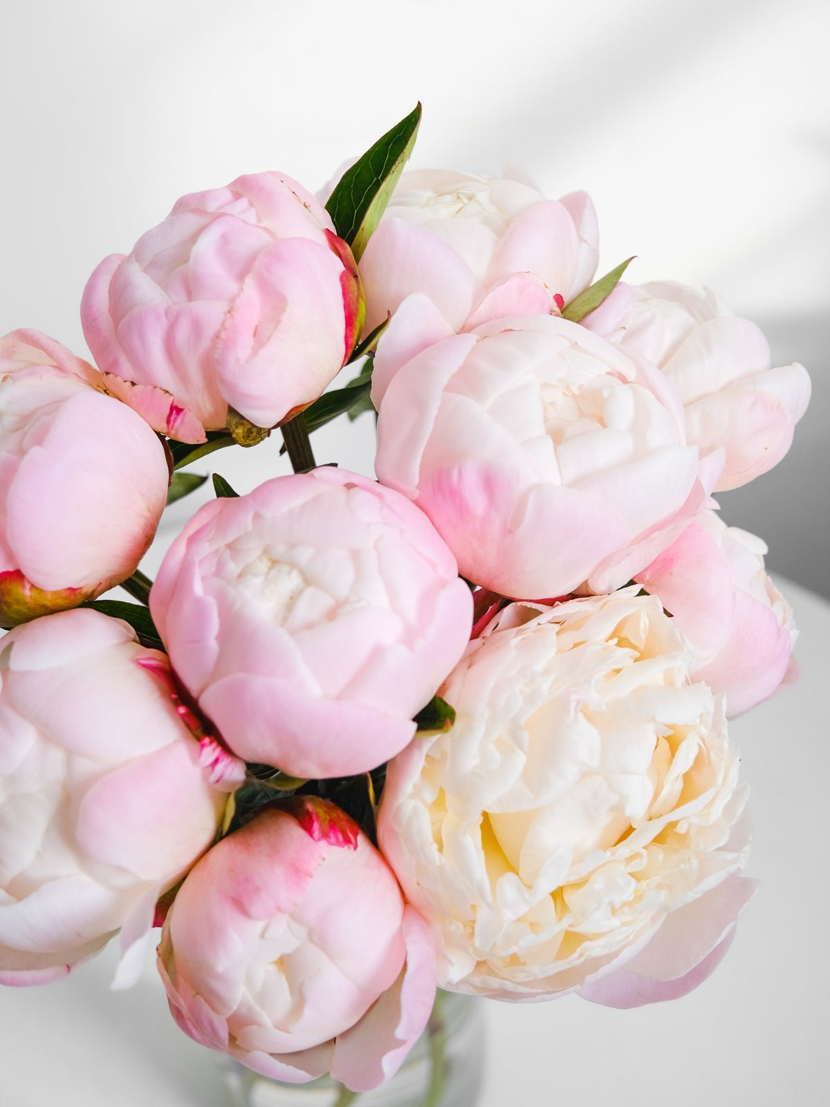 Peonies Bouquet - Amazing Graze Flowers