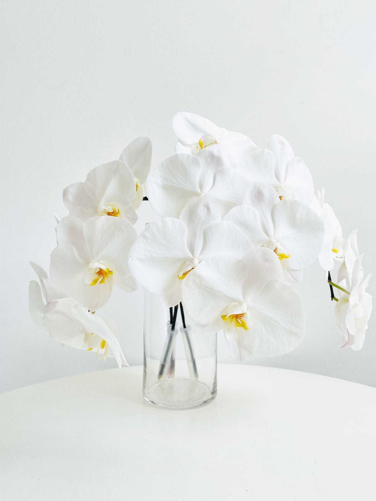 Phalaenopsis White Orchid STEM - Amazing Graze Flowers