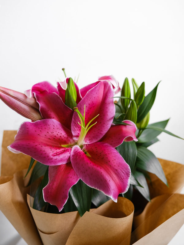 Potted Oriental Lilies