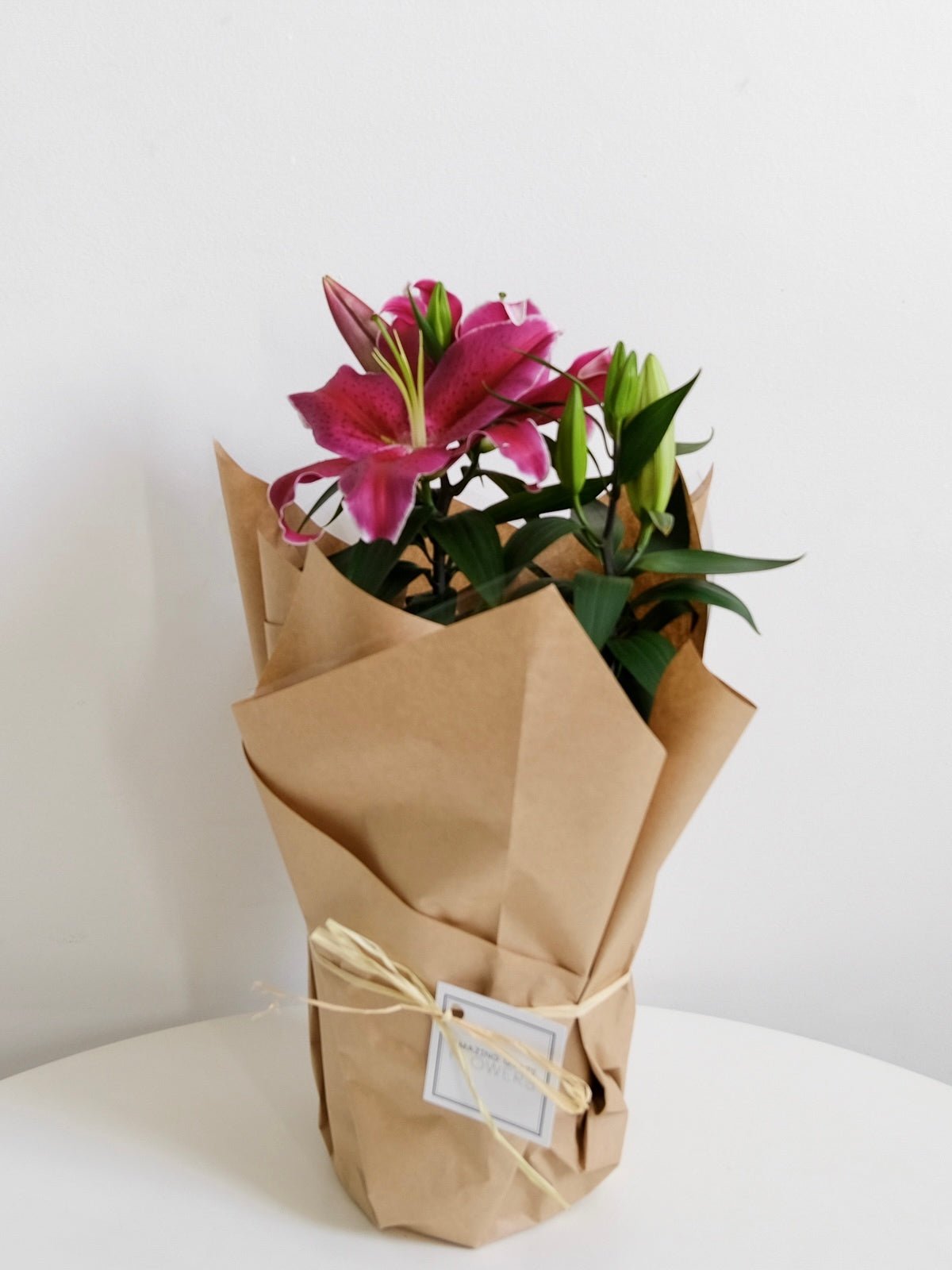 Potted Oriental Lilies - Amazing Graze Flowers