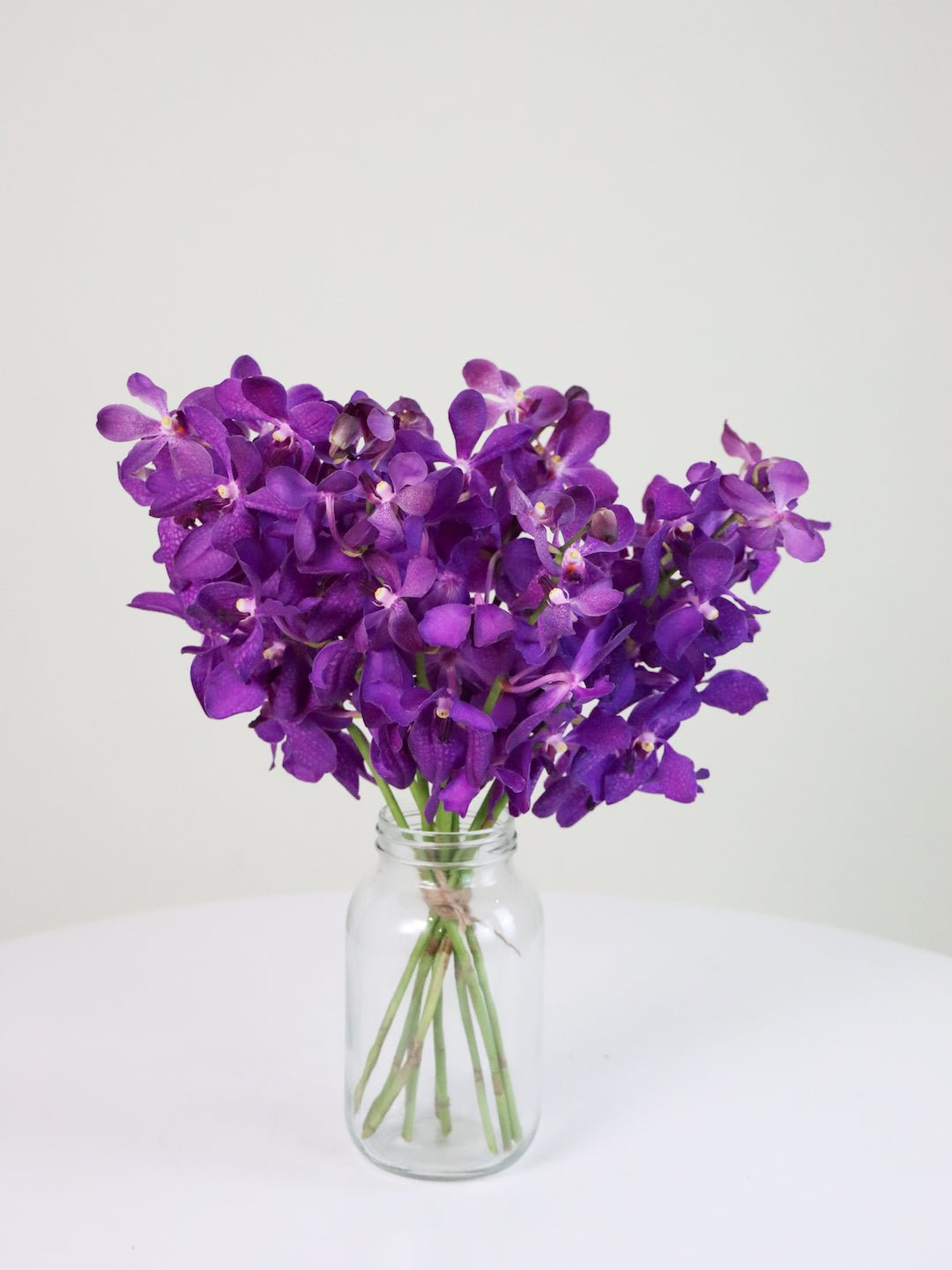 Royal Orchids - Amazing Graze Flowers