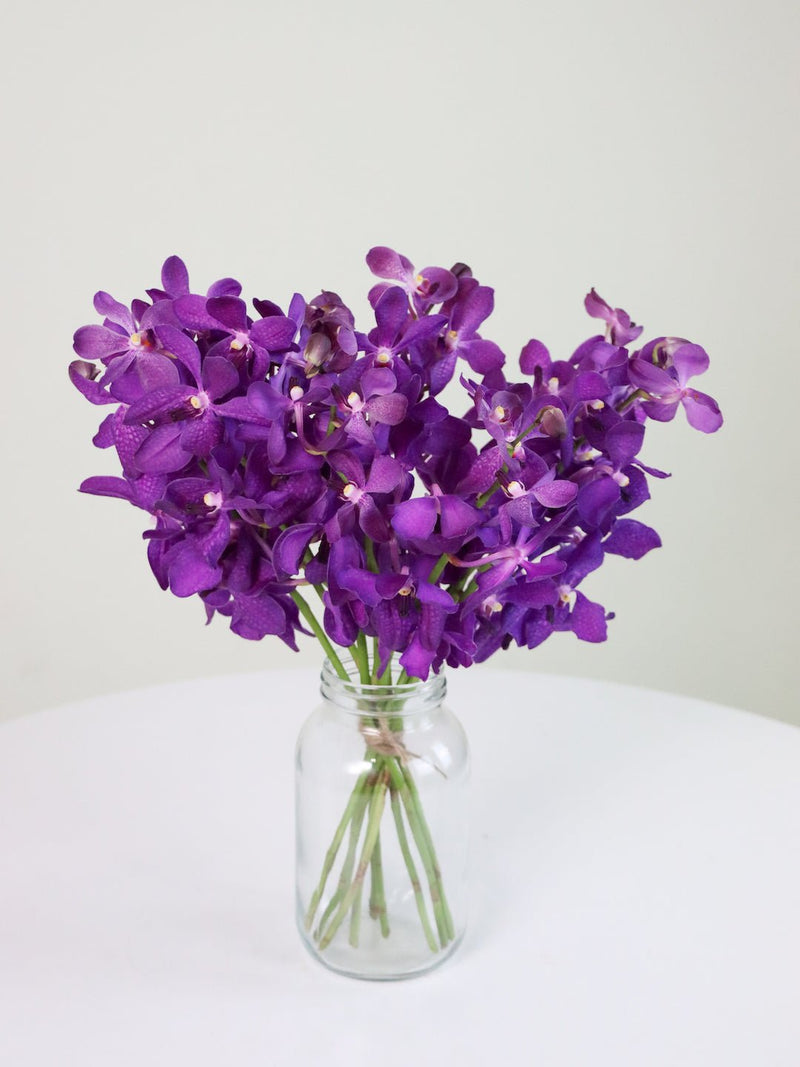 Just Because Flowers