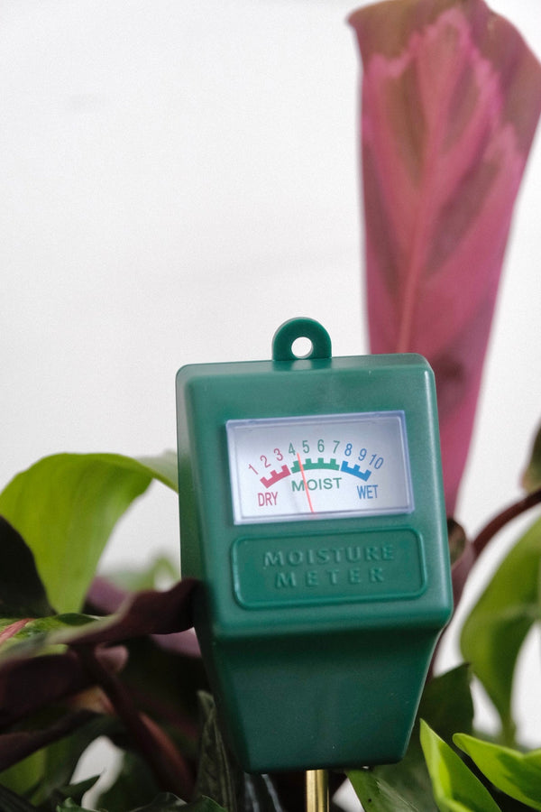 Soil Moisture Meter