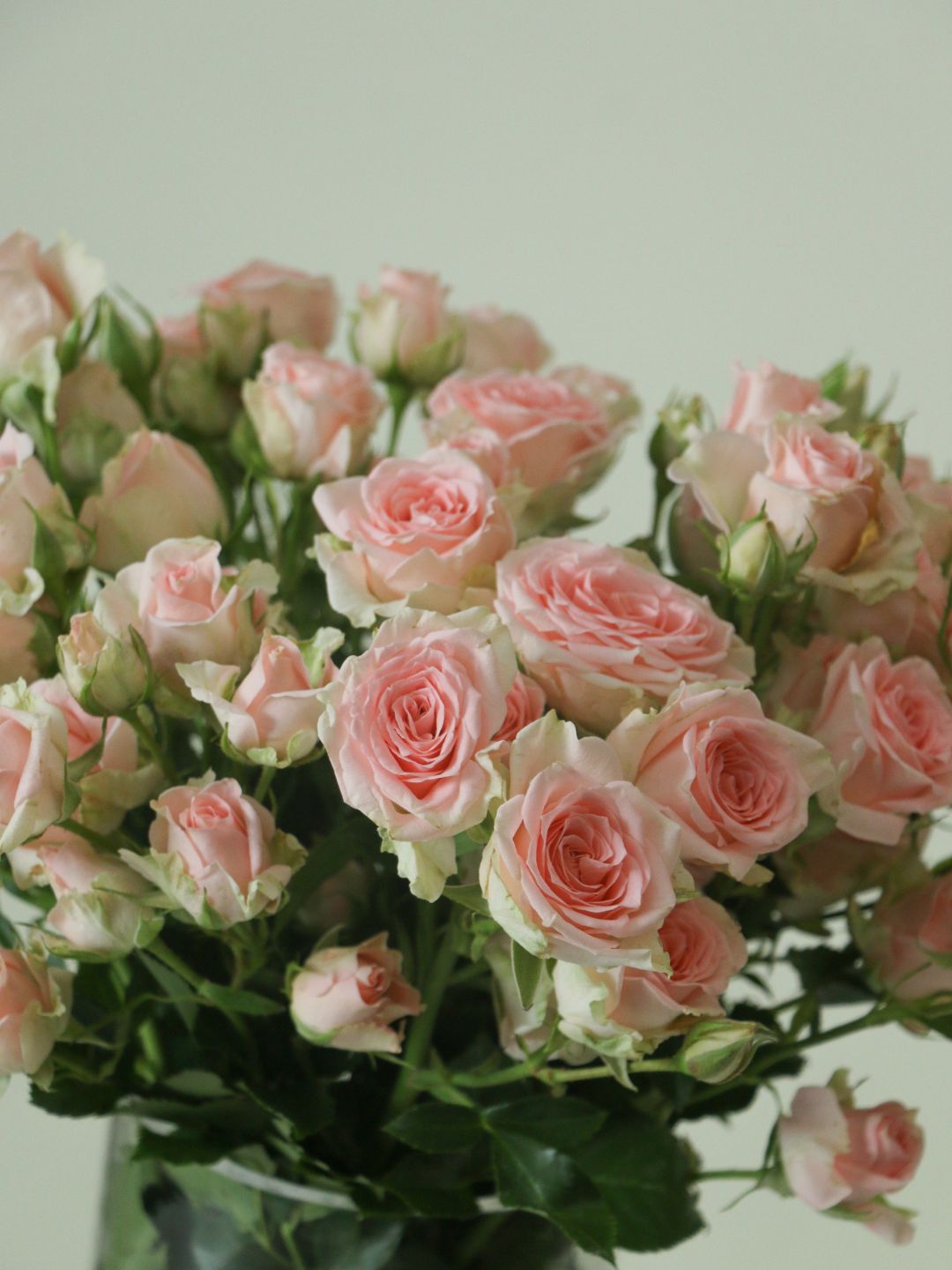 Spray Rose Bouquet - Amazing Graze Flowers