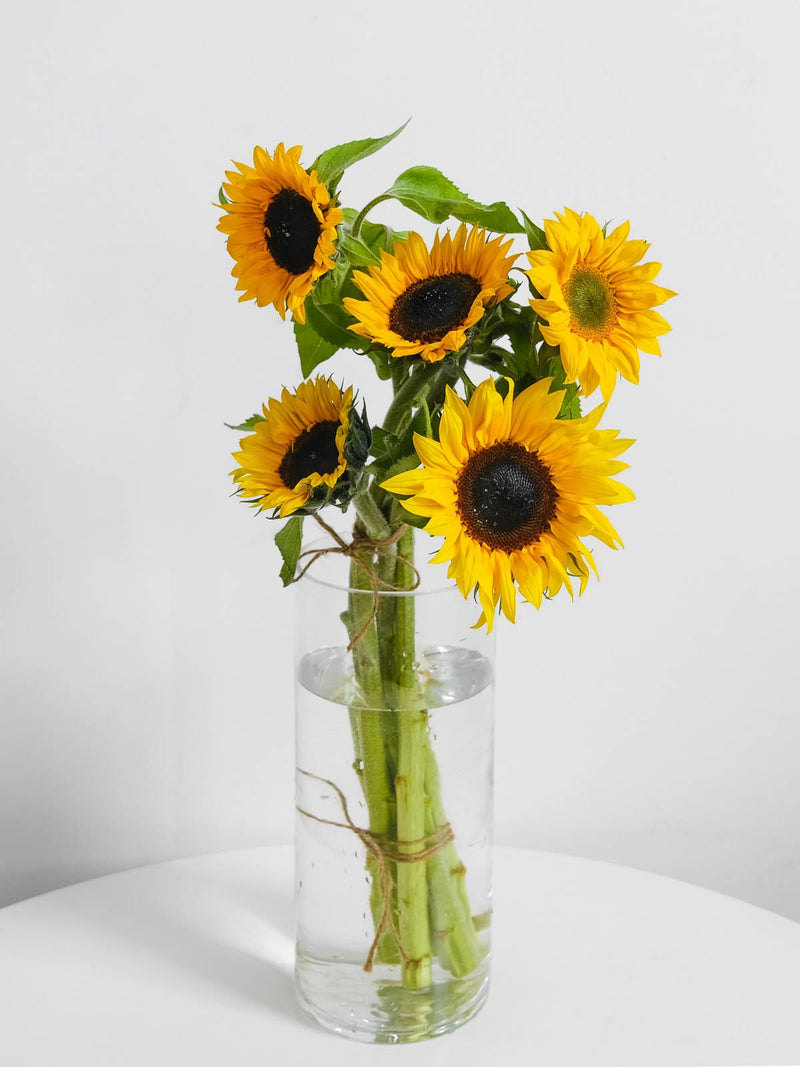 Sunflowers Melbourne - Amazing Graze Flowers