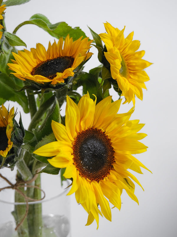 Sunflowers Bouquet