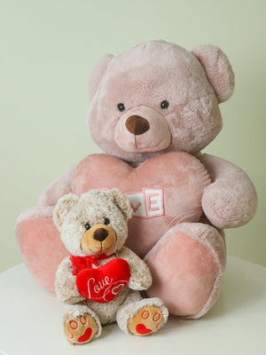 Teddy Bear I Love You