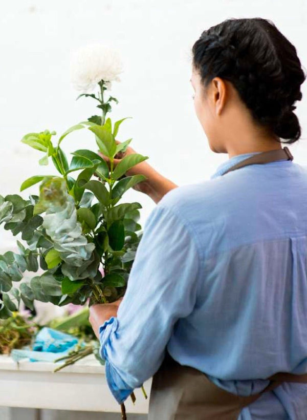 Shop  All Flowers