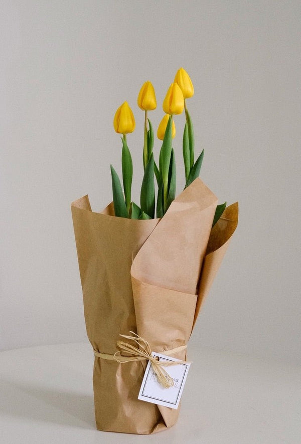 Tulip Potted Plant