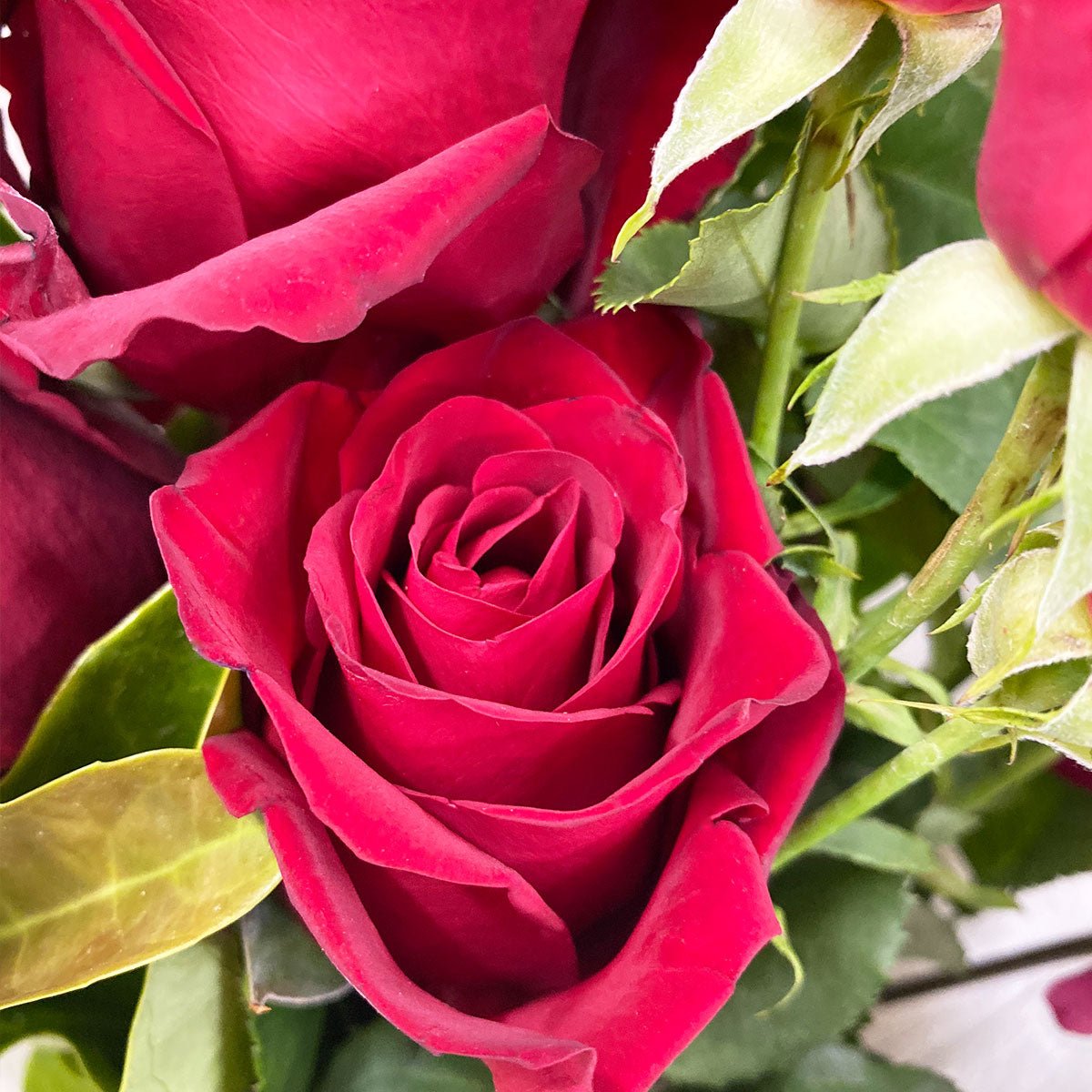 Victorious Graduation Bouquet - Amazing Graze Flowers